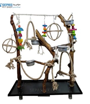 استند طبیعی پرندگان طوطی-سانان natural wood parrot stand