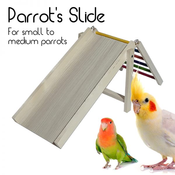 parrots slide toys