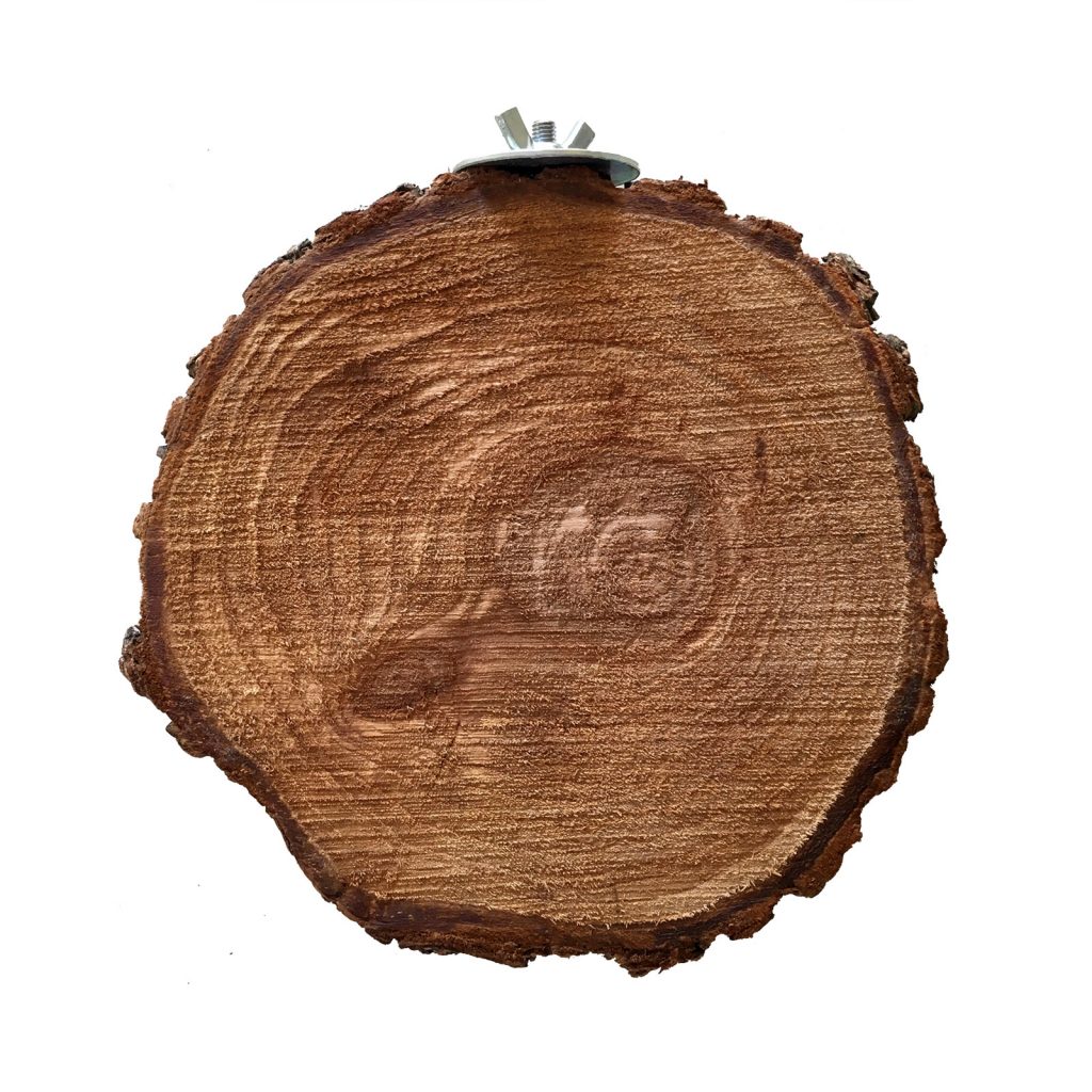 نشیمنگاه پرندگان - چوب نشیمن گرد طبیعی طوطی سانان - parrot and bird round wooden stand