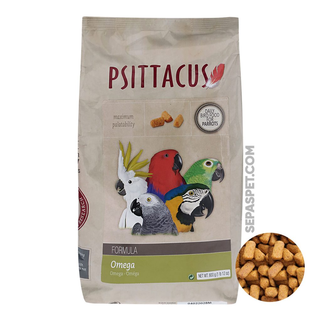پلت امگا سیتاکوس omega psittacus طوطی