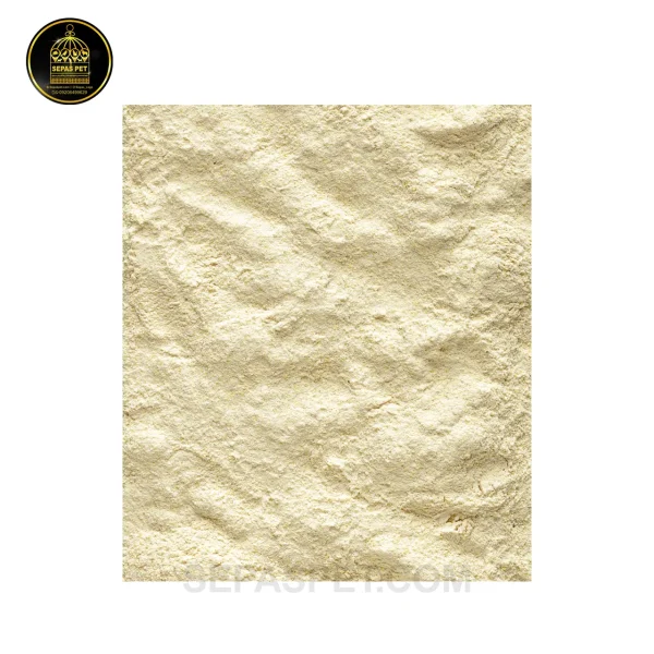 قیمت و خرید سرلاک ورسلاگا a21