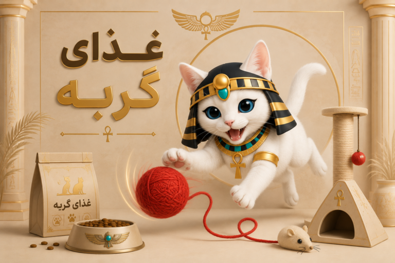 جسی –